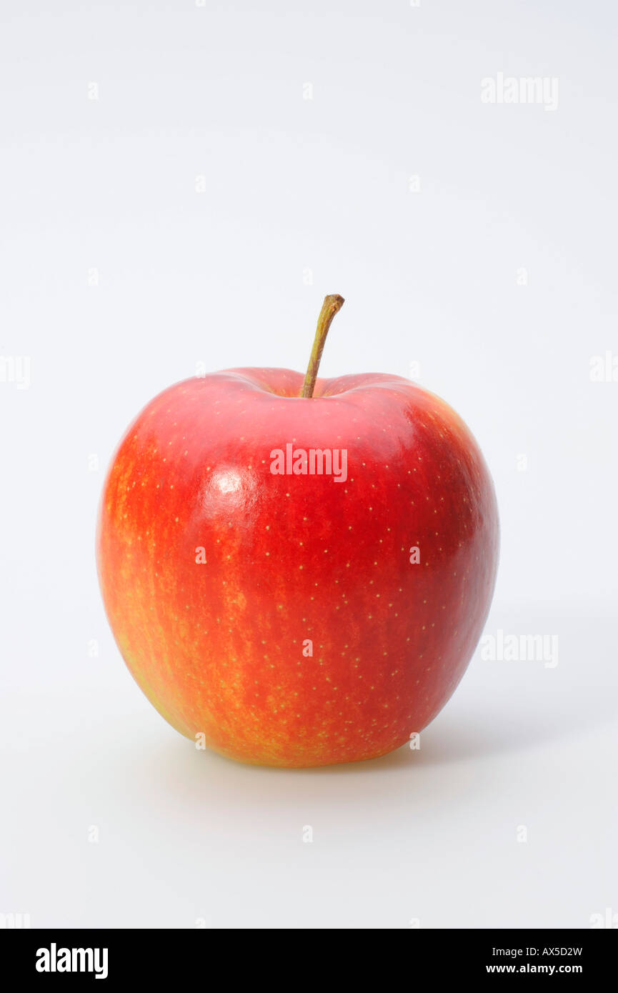 Apple (Malus) Stock Photo
