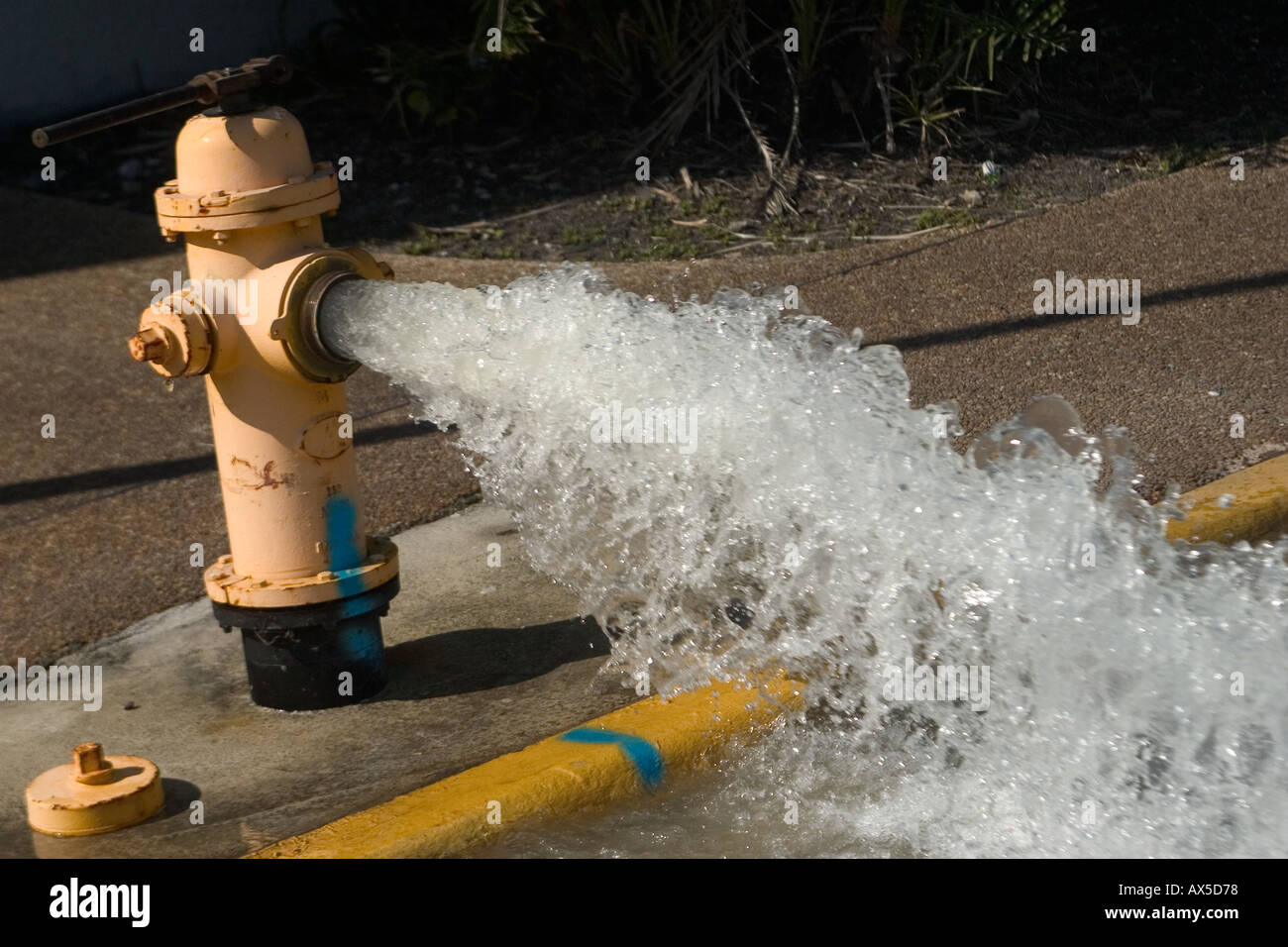 Broken fire hydrant hires stock photography and images Alamy