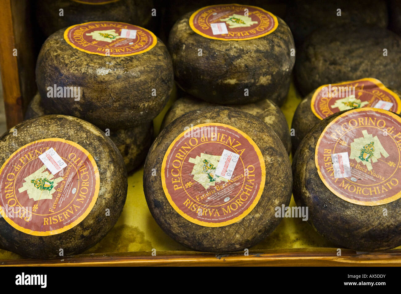 Pecorino Toscano cheese, Tuscan specialty, Tuscany, Italy, Europe Stock Photo
