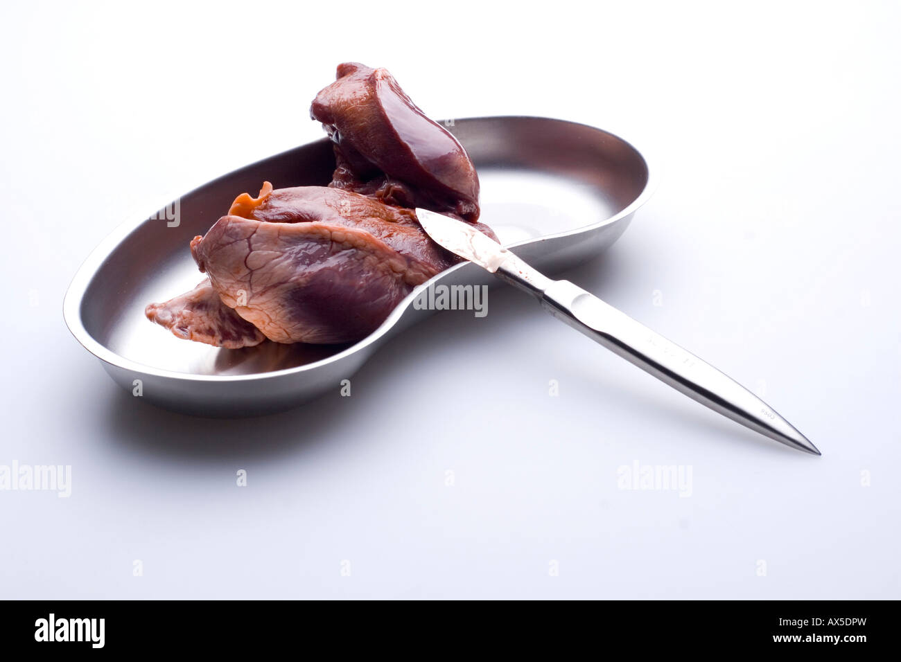 Pig heart in a kidney-shaped bowl Stock Photo