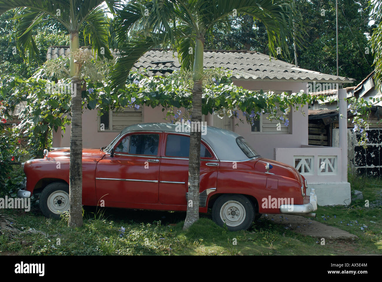 Red vintage car parking in the garden beside a house in Pinar del Rio, Vinales, Cuba, Caribbean Stock Photo