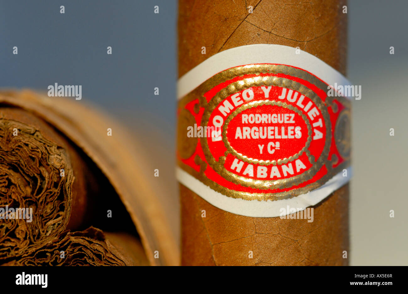 Cigar detail, Romeo y Julia brand, Havana, Cuba Stock Photo - Alamy