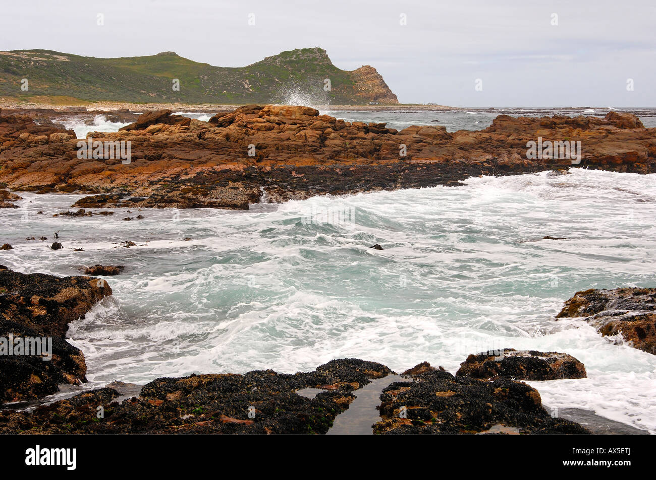Coastal landscape along the Cape of Good Hope, South Africa, Africa Stock Photo Alamy