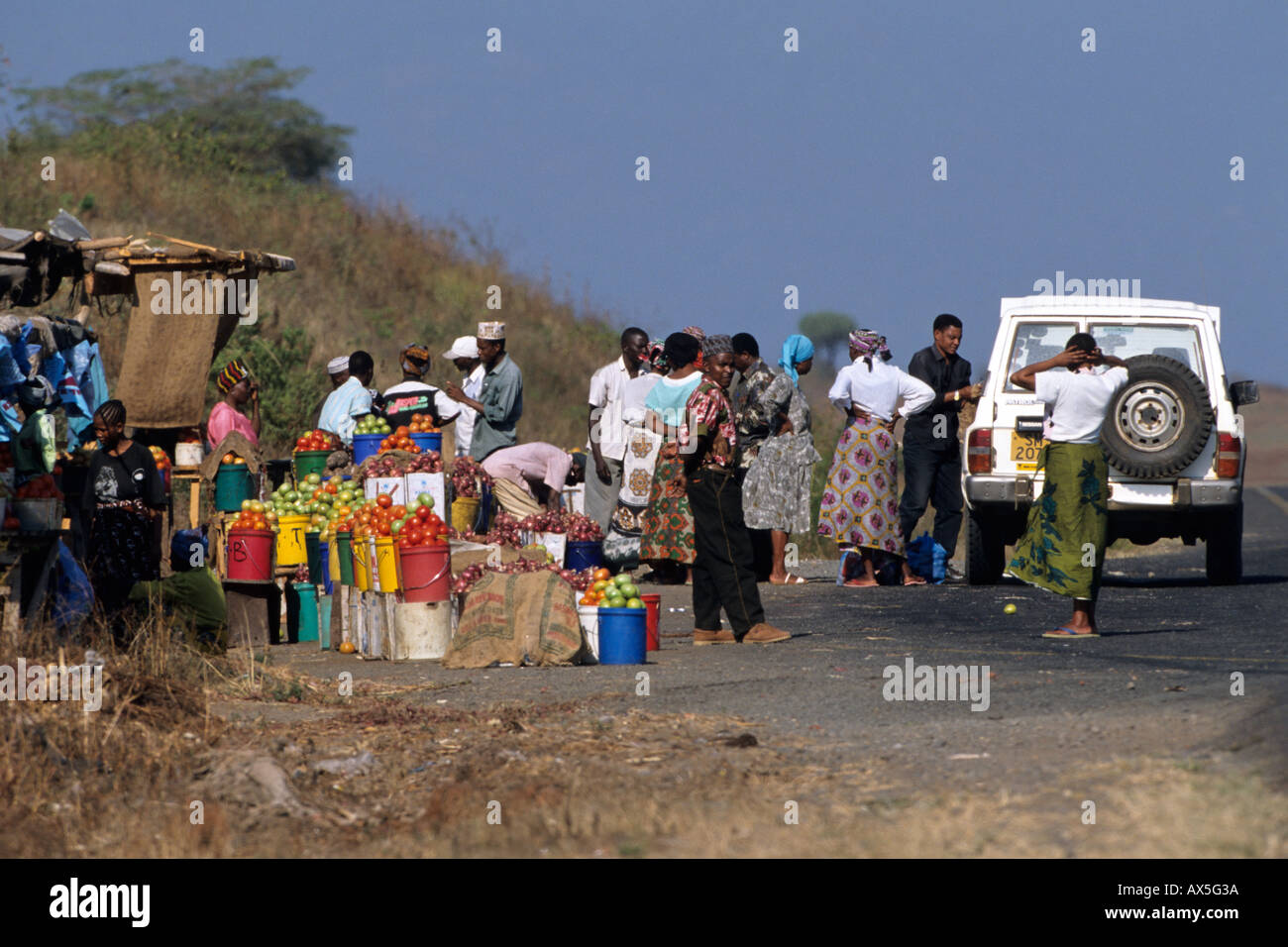 Farmers sell fresh vegetables in bulk along the road from Moshi to Arusha, Kilimanjaro Region, Tanzania Stock Photo