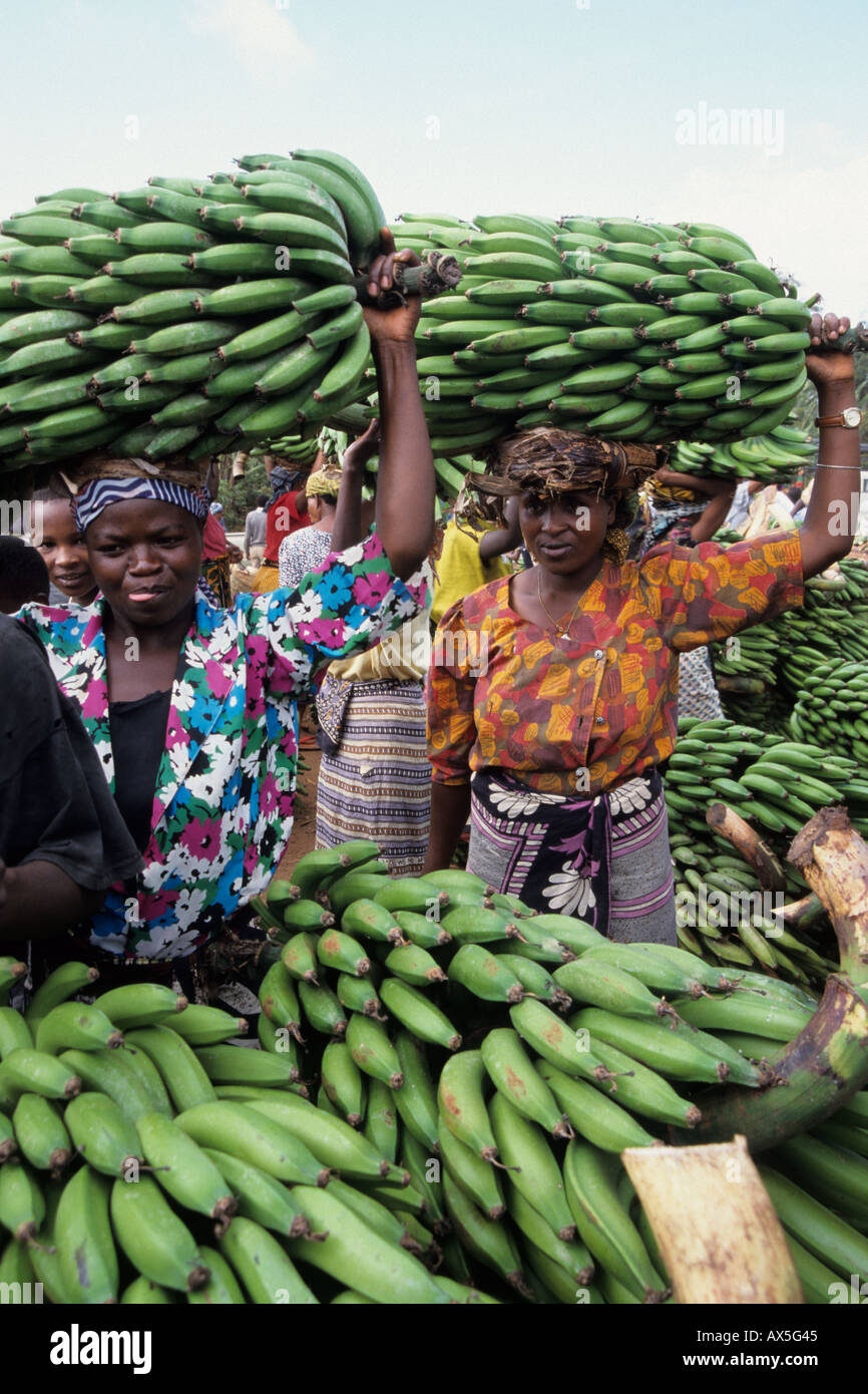 Women carrying bunches of cooking banana to the market, Mwika Village, Kilimanjaro, Tanzania. Stock Photo