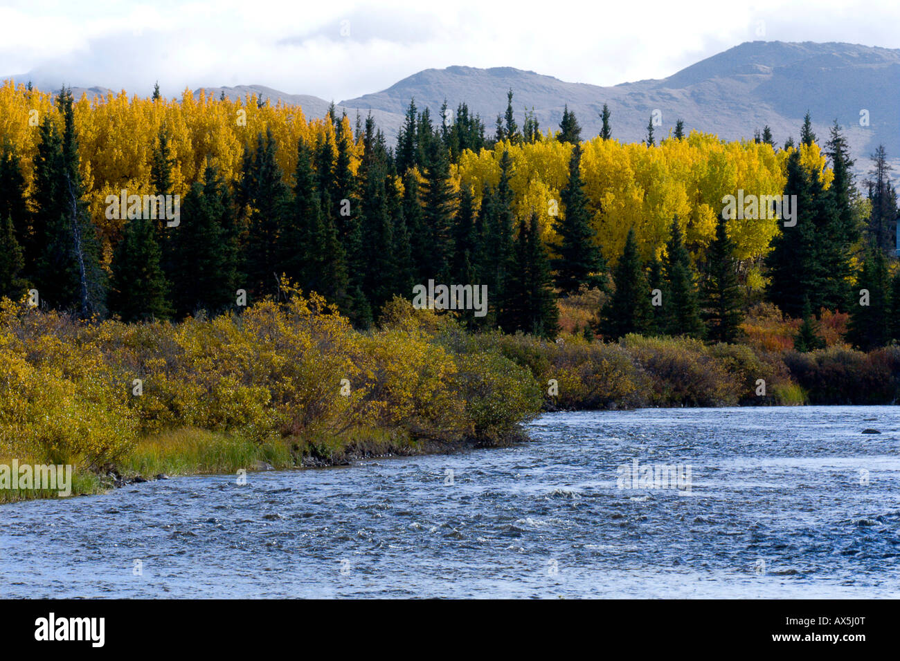 Autumnal mood, Jarvis River, Yukon Territory, Canada Stock Photo
