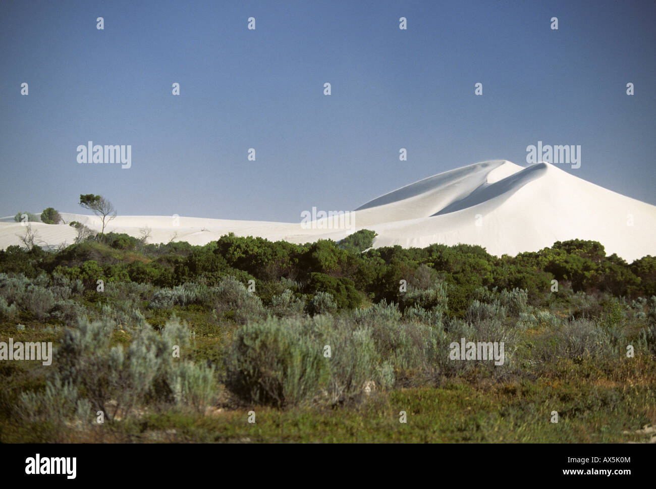 The Big Dune,  white sand dune near Lancelin, north of Perth, Western Australia, Australia Stock Photo