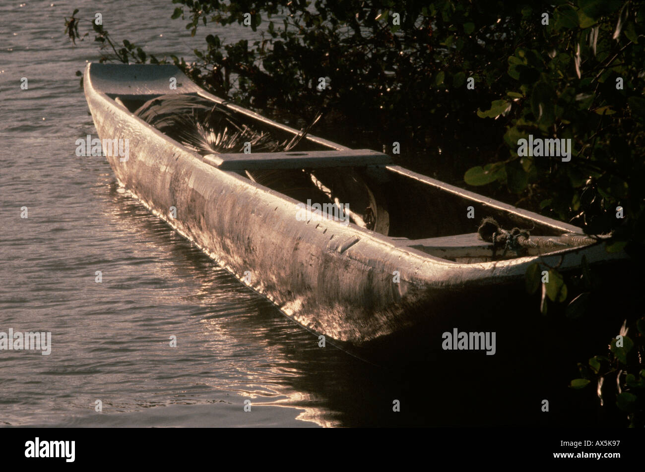 Bahia, Brazil. A dugout canoe moored to mangrove trees in a coastal channel at sundown. Stock Photo