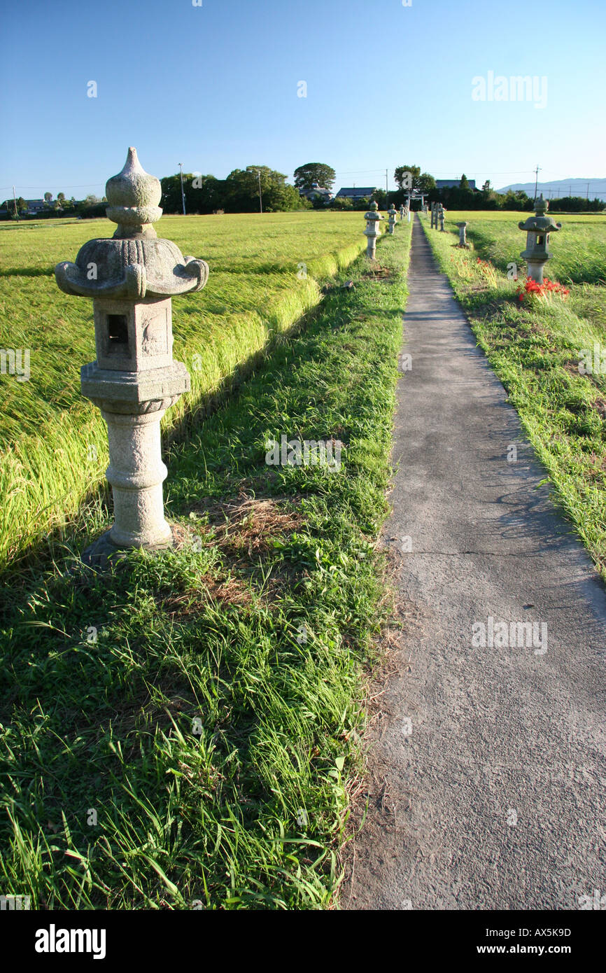 Lantern lined path through rice fields to a shinto shrine in Japan Stock Photo