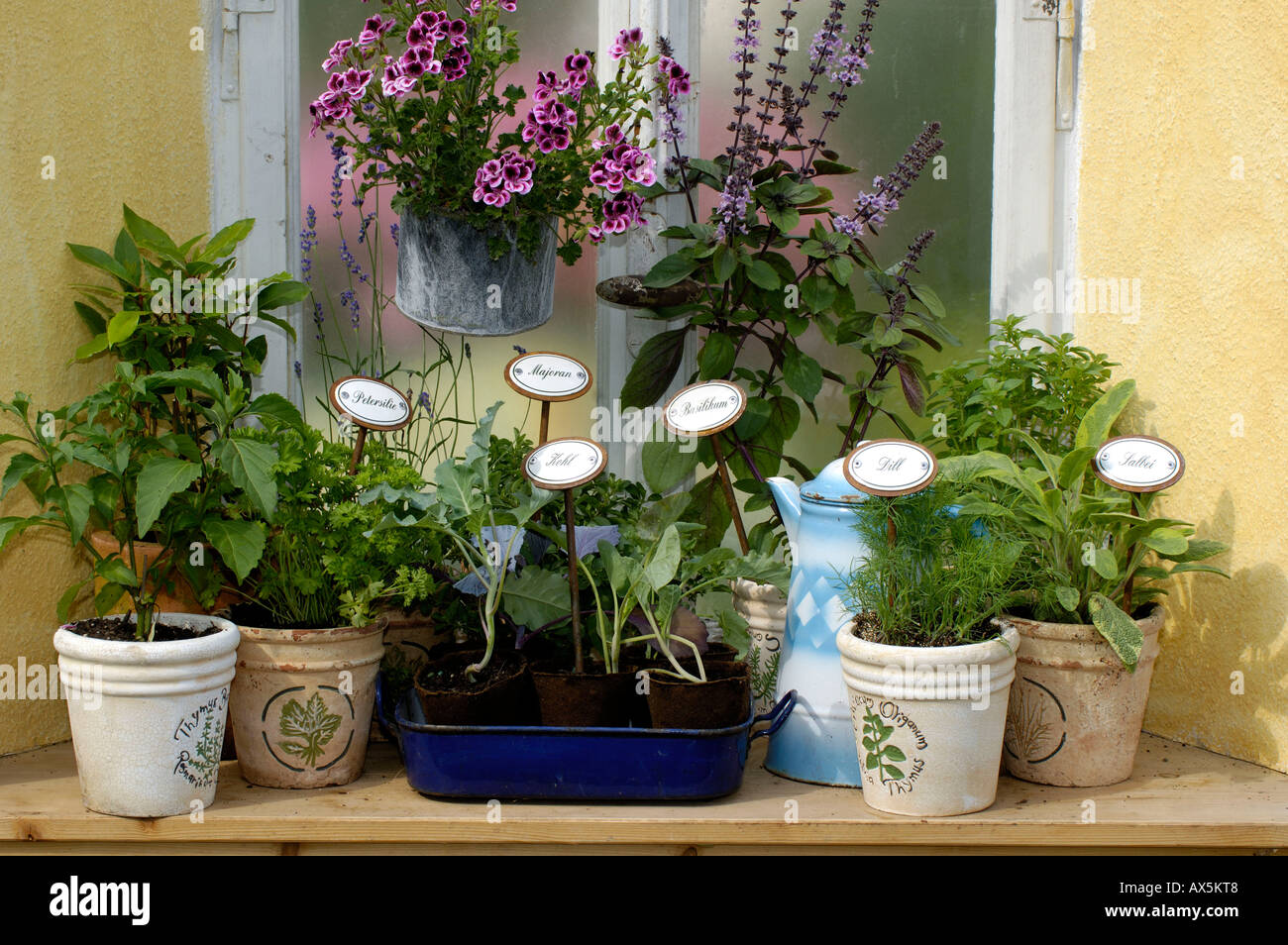 Herbs On The Windowsill Stock Photos Herbs On The Windowsill