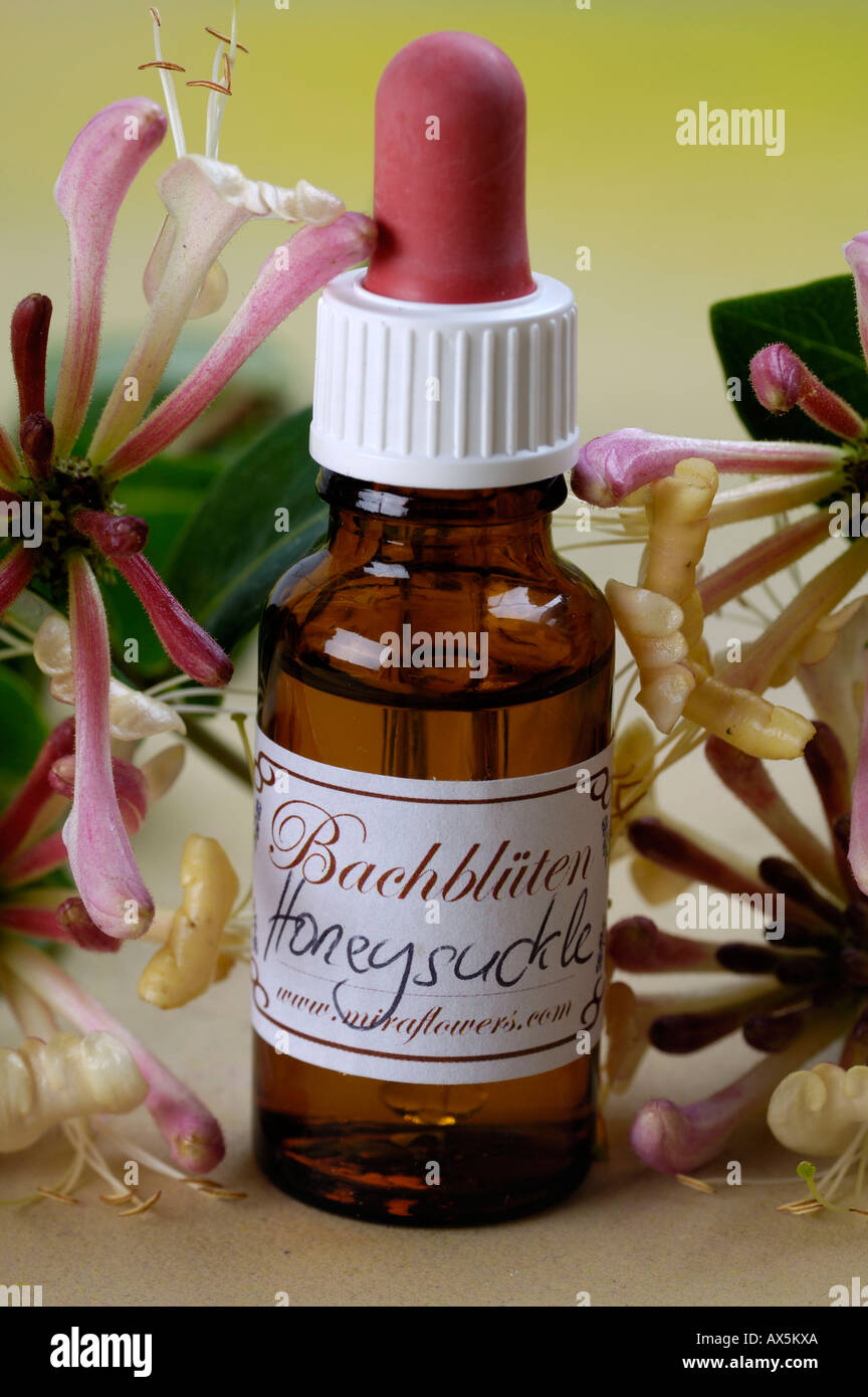 Bach Flower Stock Remedy Stock Photo Alamy
