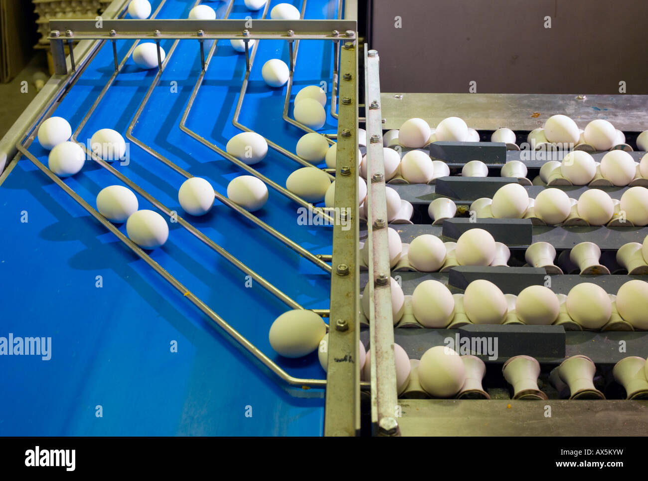 Easter eggs factory hires stock photography and images Alamy
