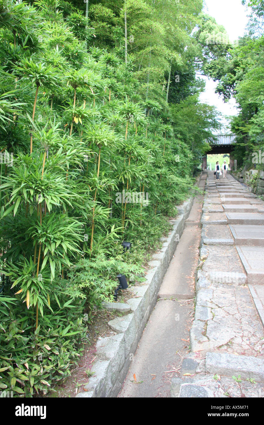 Bamboo lined footpath in Kyoto, Japan Stock Photo