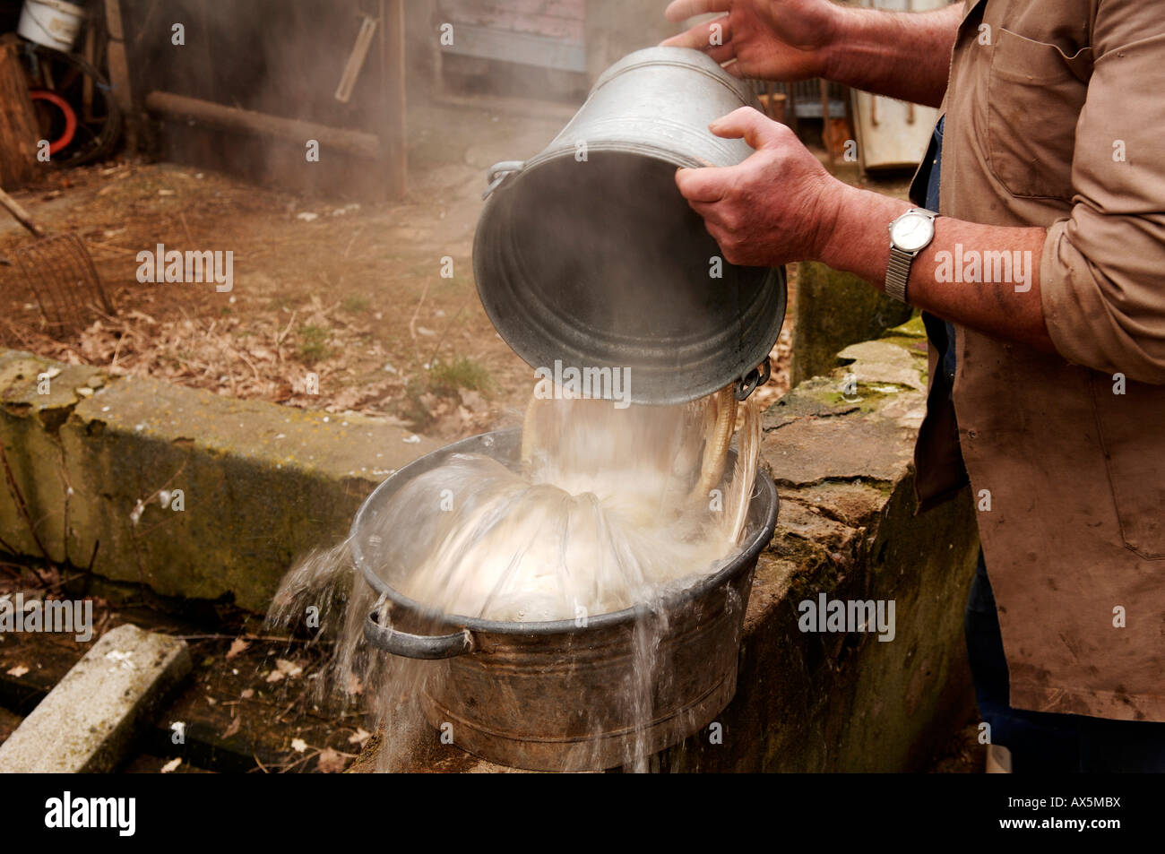 Home slaughtering (duck), farmer pouring boilding water over the duck, Eckental, Middle Franconia, Bavaria, Germany, Europe Stock Photo