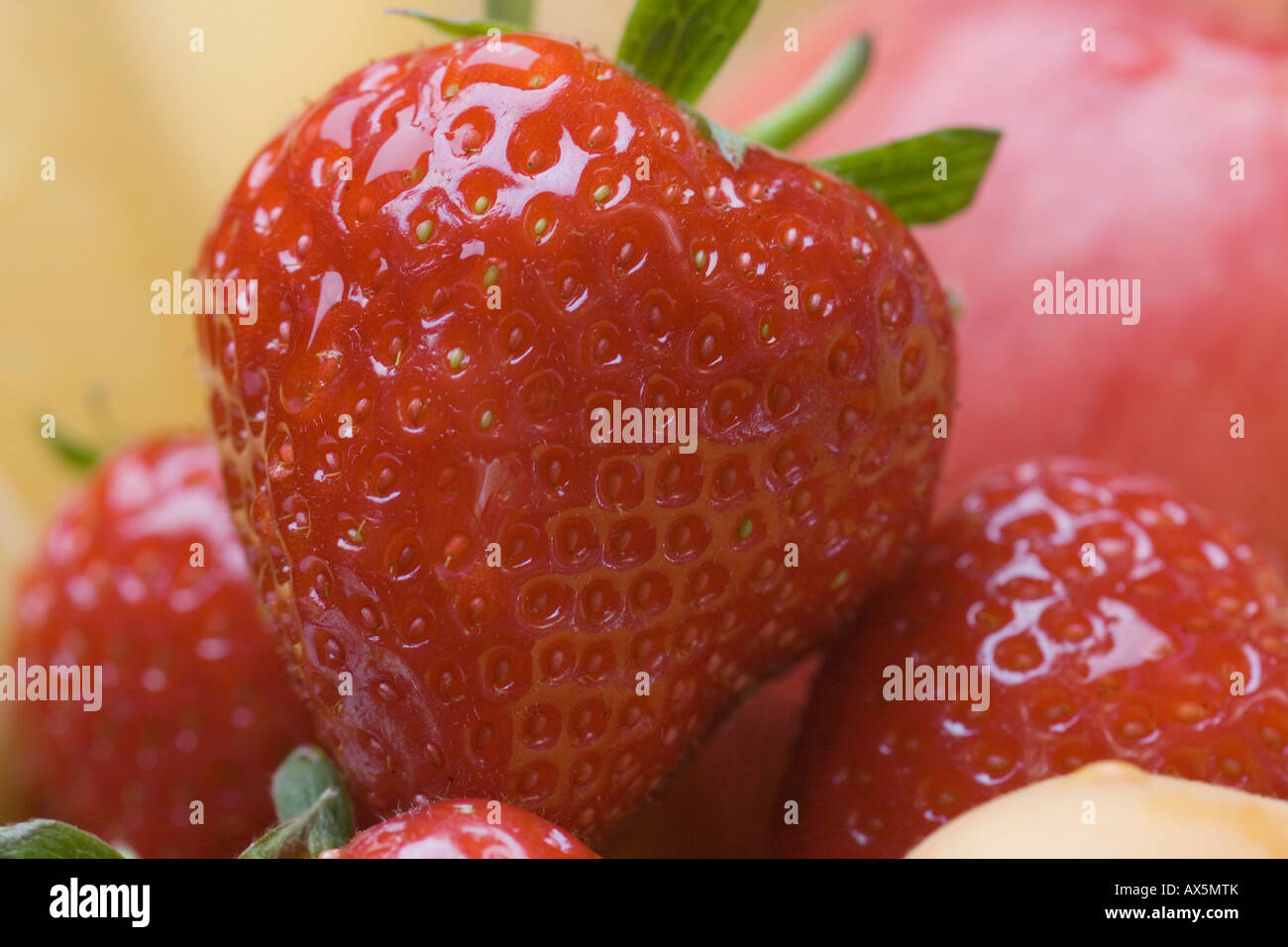 Strawberries (Fragaria) Stock Photo