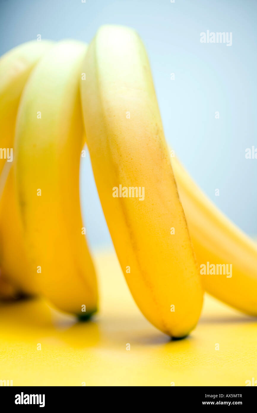 Bananas (Musa) Stock Photo