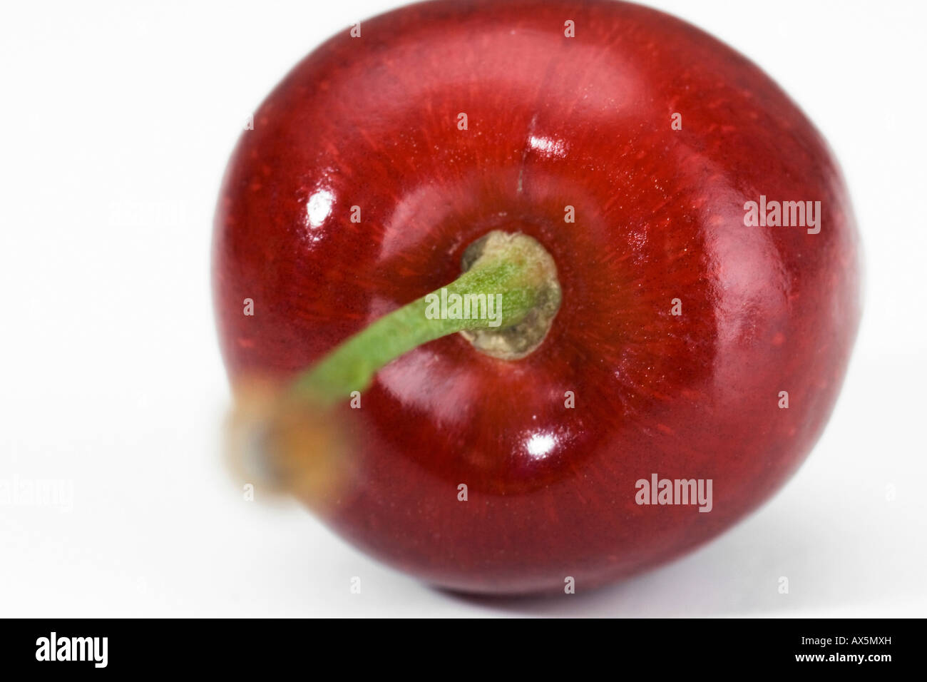 Cherry (Cerasus) Stock Photo