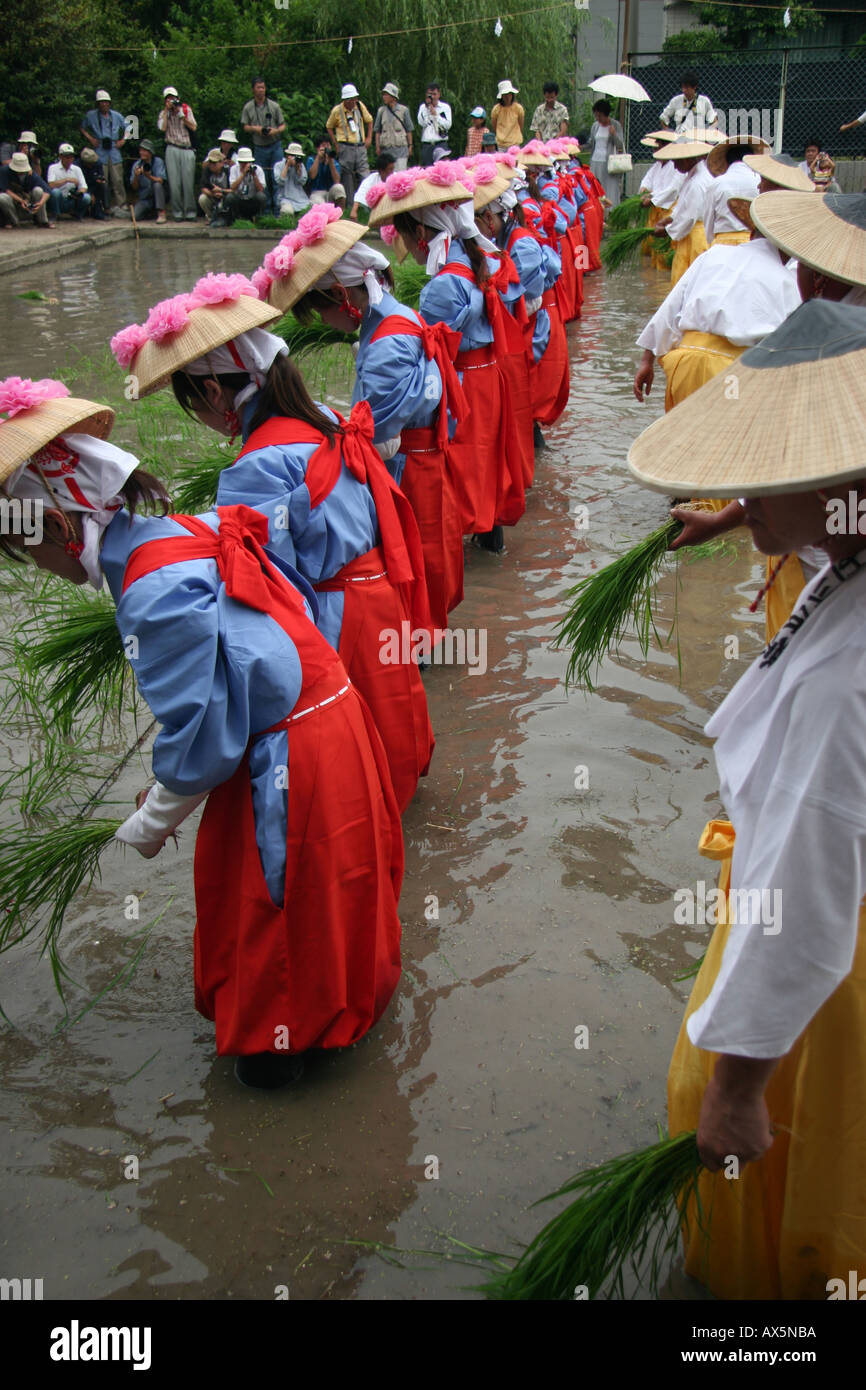 Symbolic rice planting during a harvest festival in Japan Stock Photo