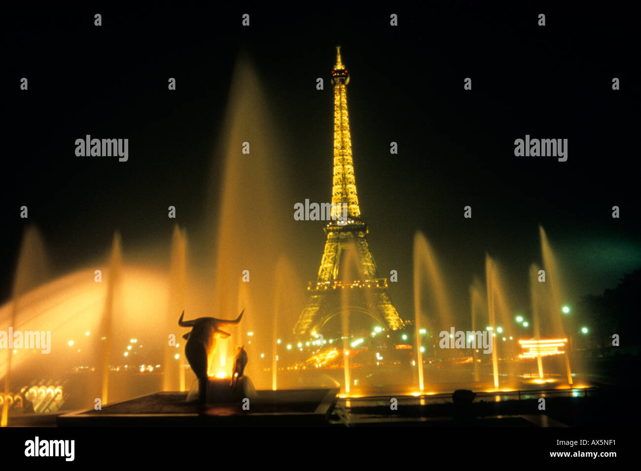 the famous Eiffel Tower through fountains in Paris France at night Stock Photo Alamy