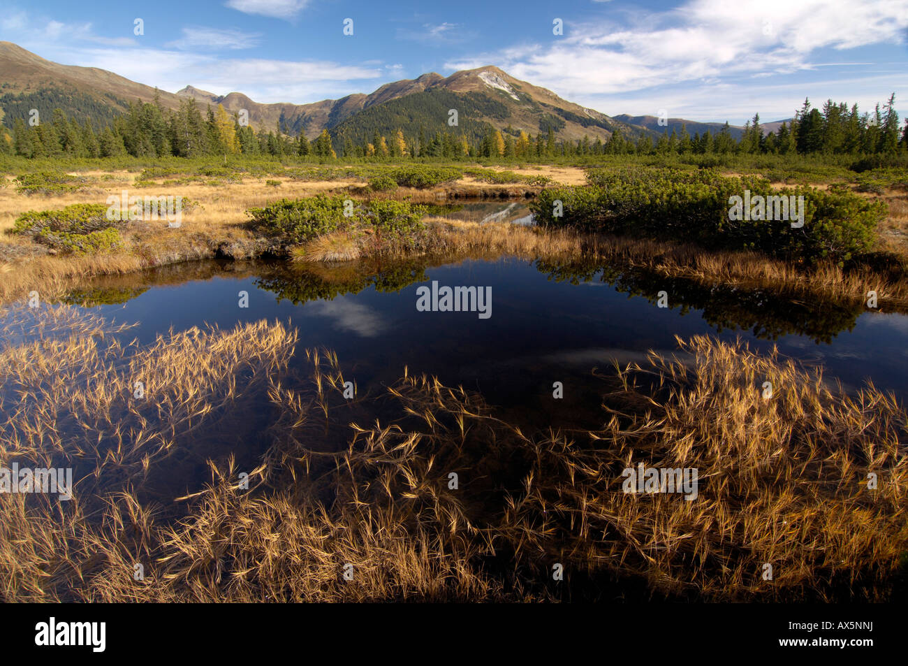Marshland lake at Sieben Moesern, North Tirol, Austria, Europe Stock Photo
