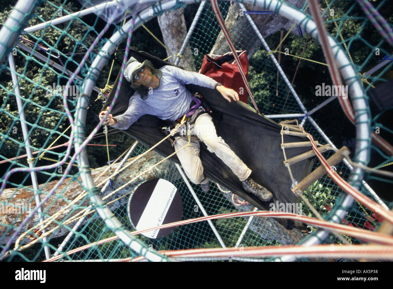 Makande, Gabon. Gilles Ebersolt with insect net in a hammock in the Icos at the top of an okume tree. Stock Photo