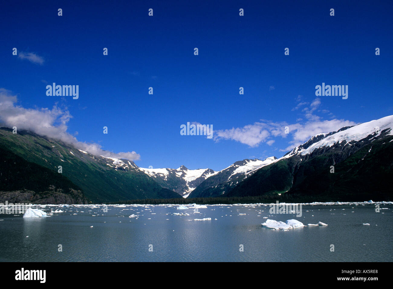 Icebergs and Mountain on Portage Lake at Portage Glacier Alaska USA Stock Photo