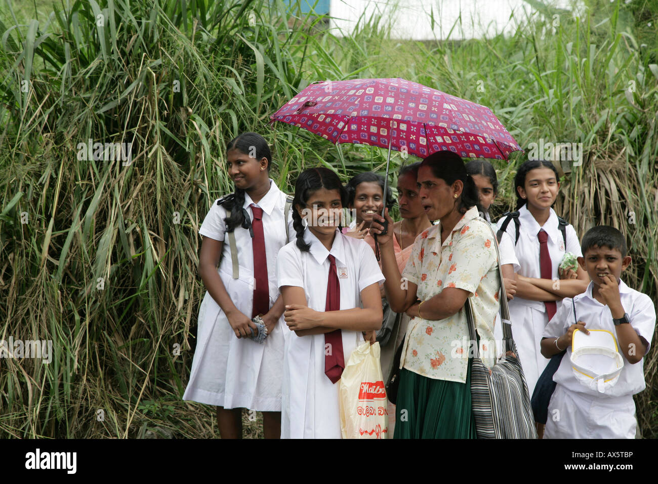 Children dressed in school uniforms waiting at a bus stop, Godagama, Sri Lanka, South Asia Stock Photo