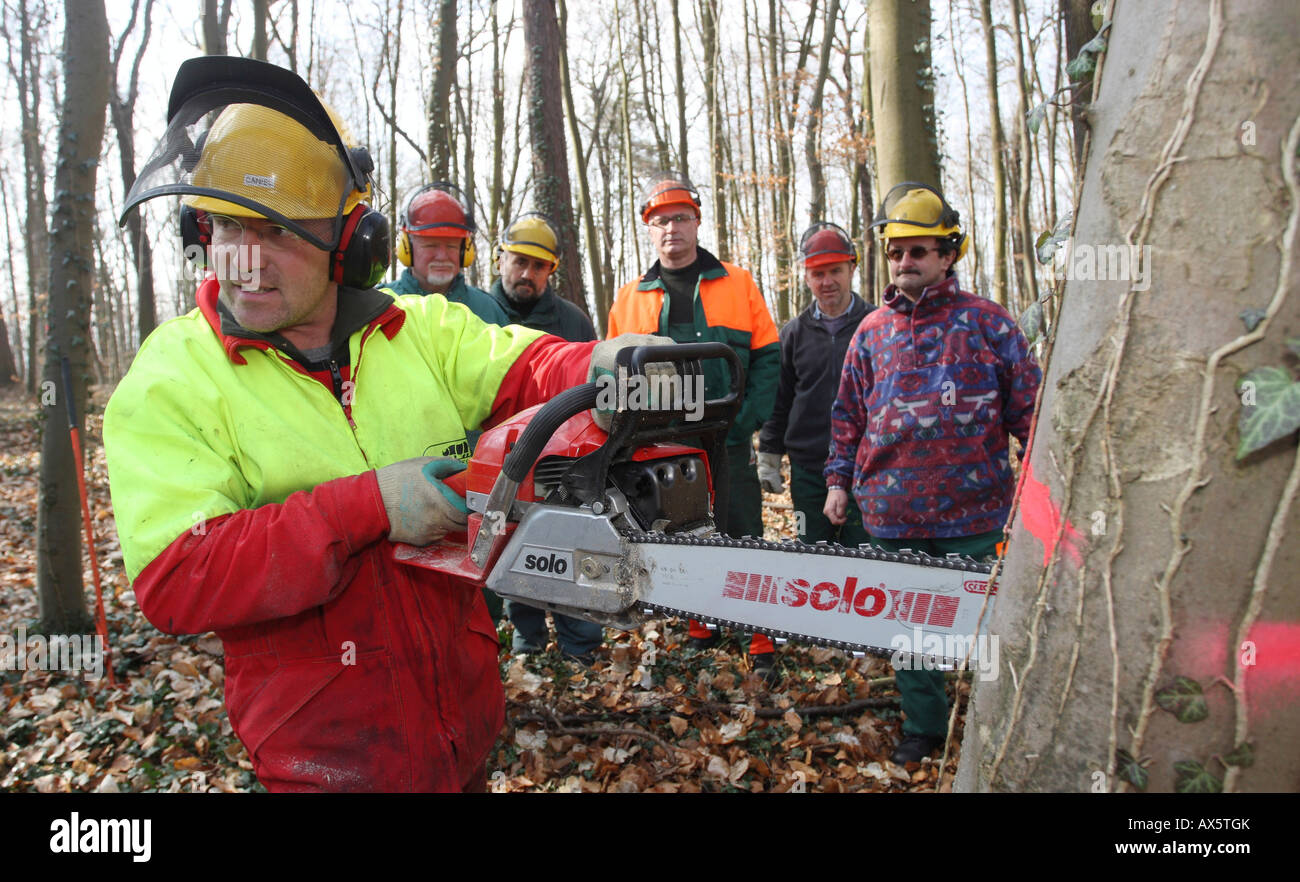 Chainsaw course, participants practicing in a forest Stock Photo