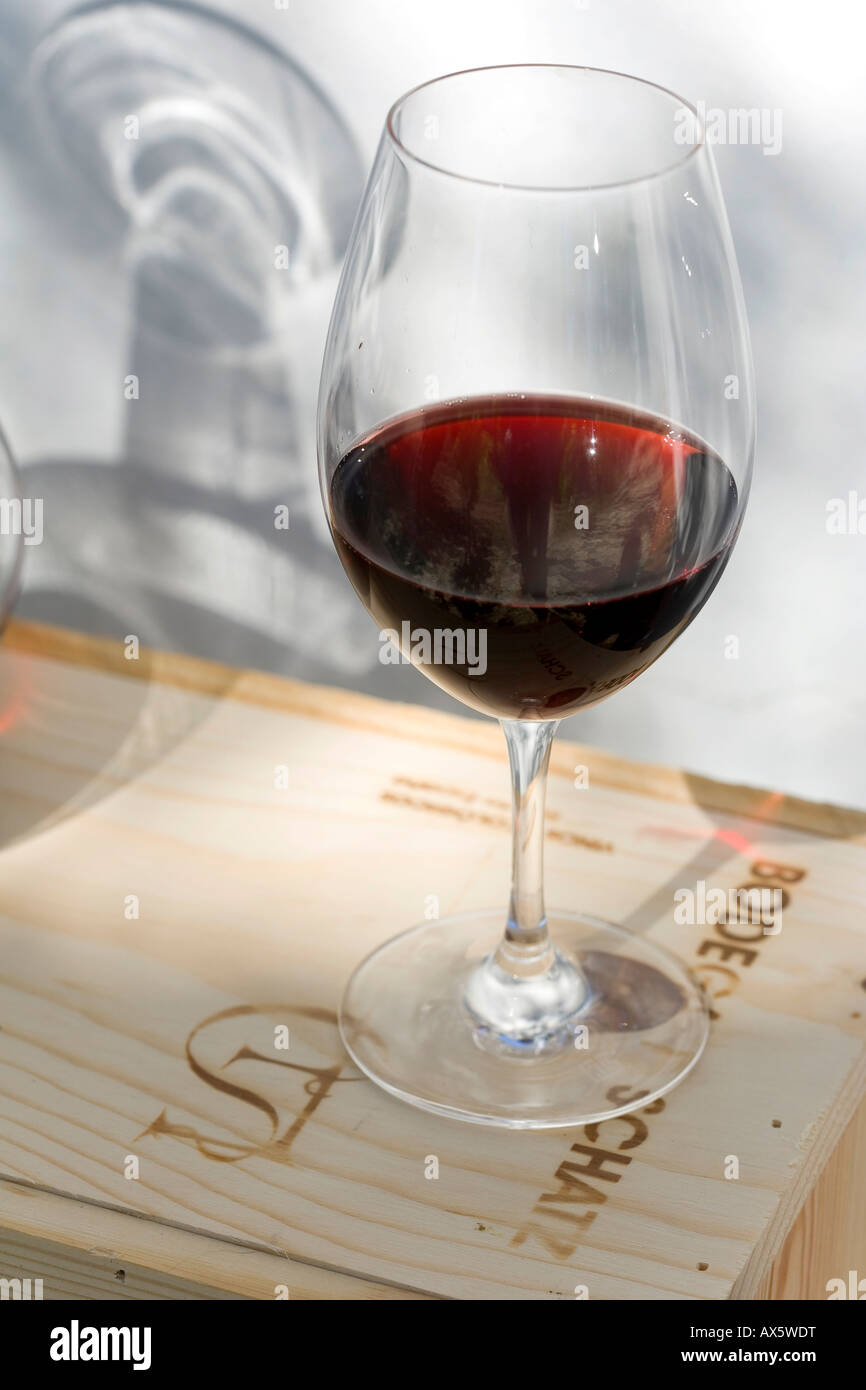 Glass of red wine, Bodega F. Schatz, Ronda, Andalusia, Spain, Europe Stock Photo