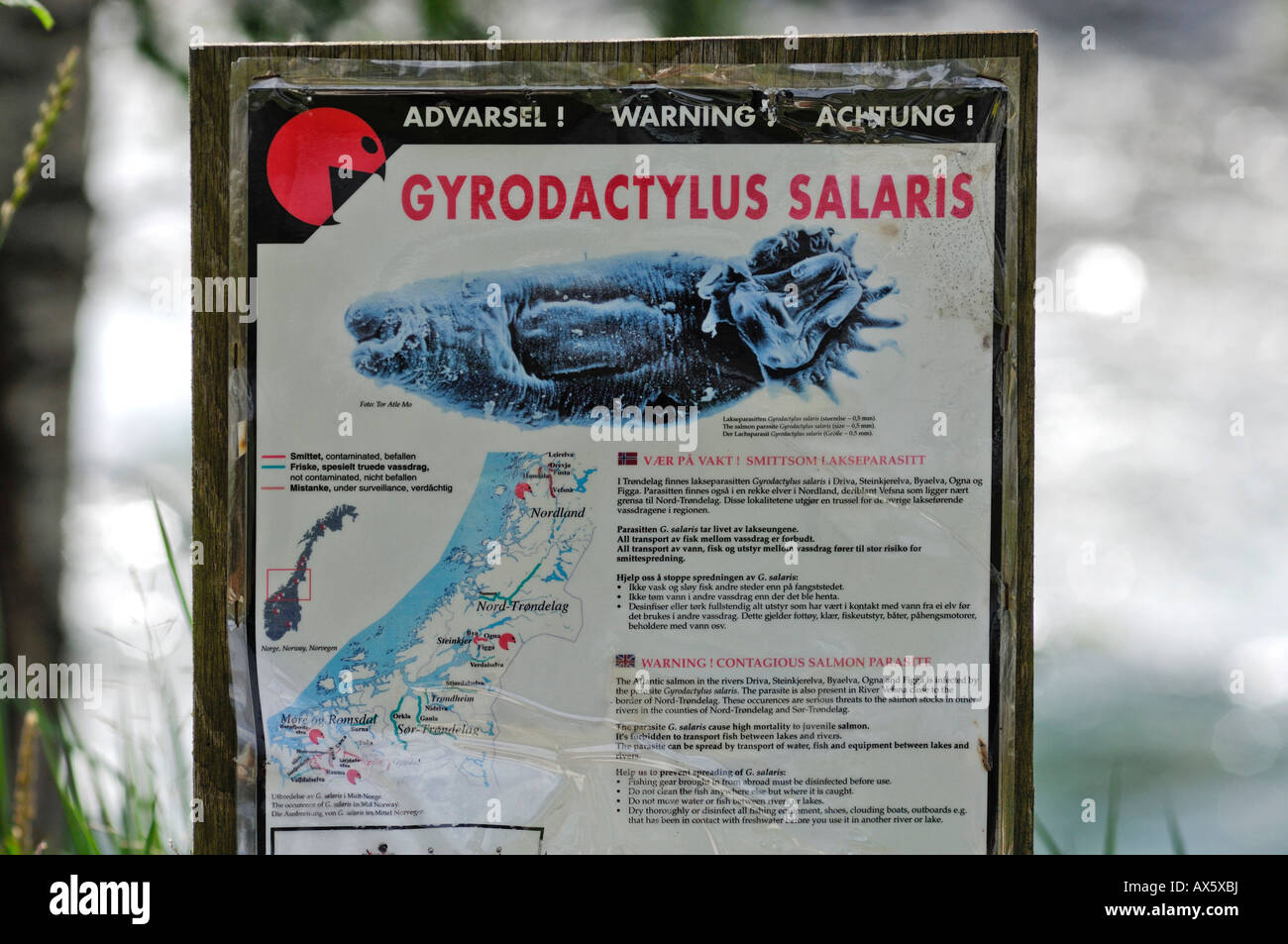 Sign warning fishermen of a fish parasite (Gyrodactylus salaris) infestation, Norway, Scandinavia, Europe Stock Photo