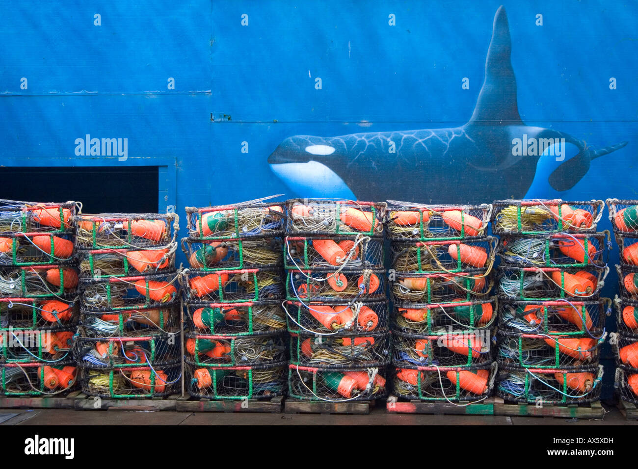 Crab pots stacked up in front of whale mural in Newport Oregon Stock