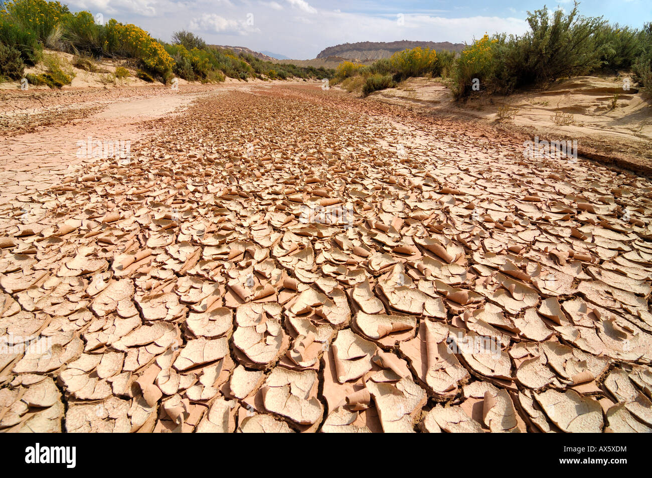 Dried-up riverbed, Grand Staircase National Monument, Utah, USA Stock Photo