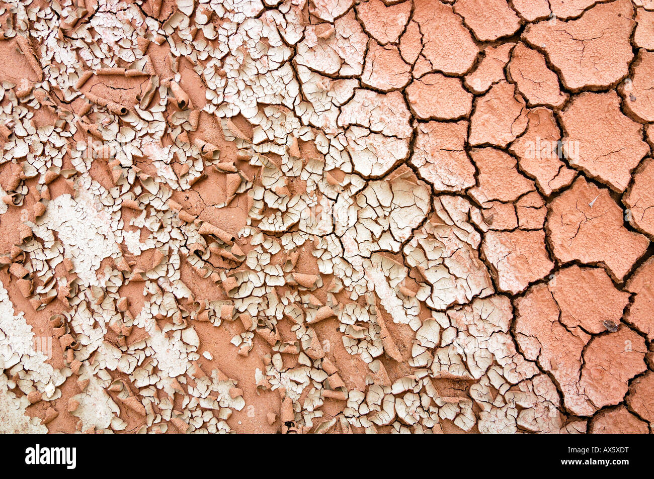 Dried-up riverbed, Grand Staircase National Monument, Utah, USA Stock Photo