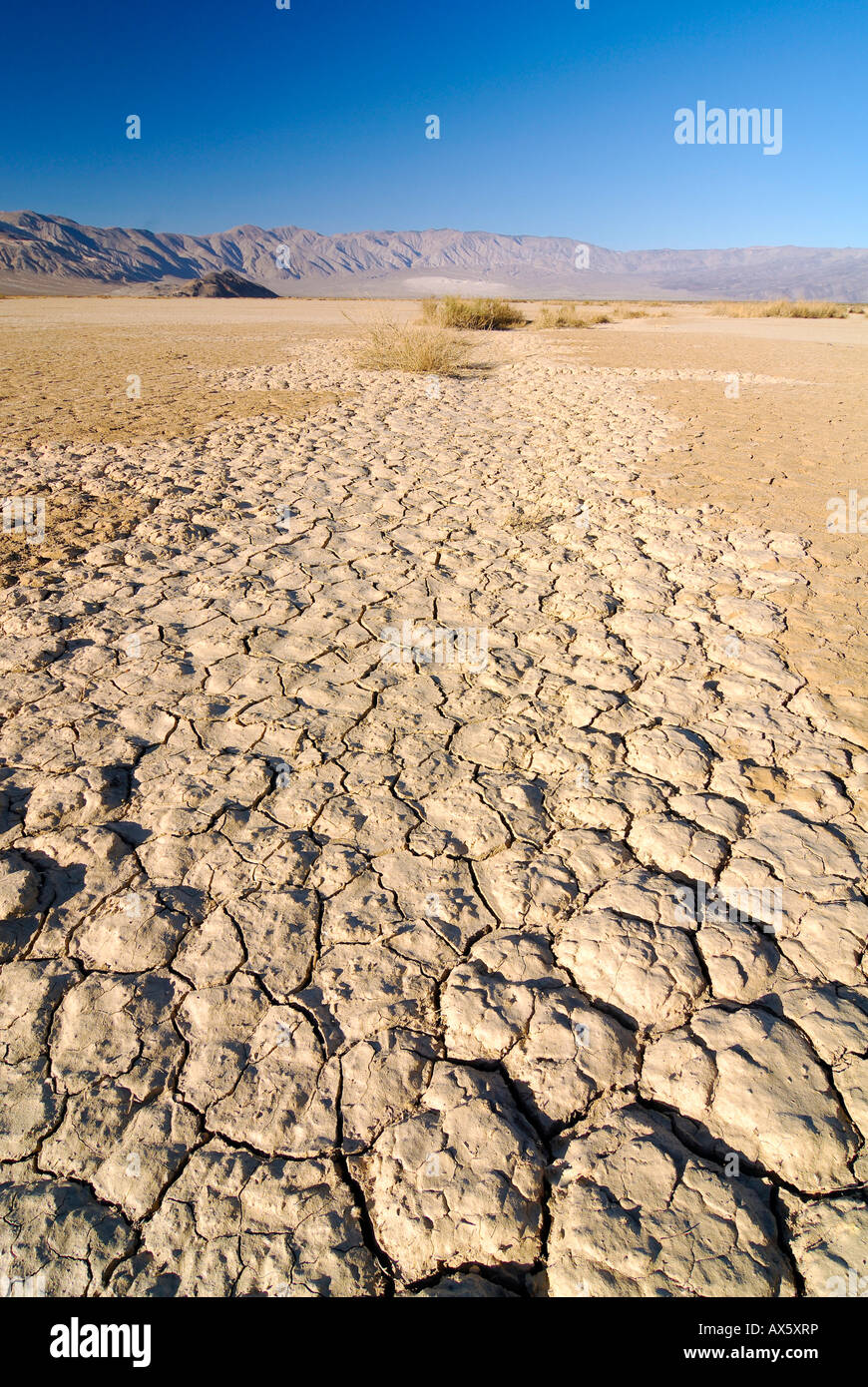 Desiccation cracks, arid loam soil at Stovepipe Wells in Death Valley National Park, California, USA, North America Stock Photo
