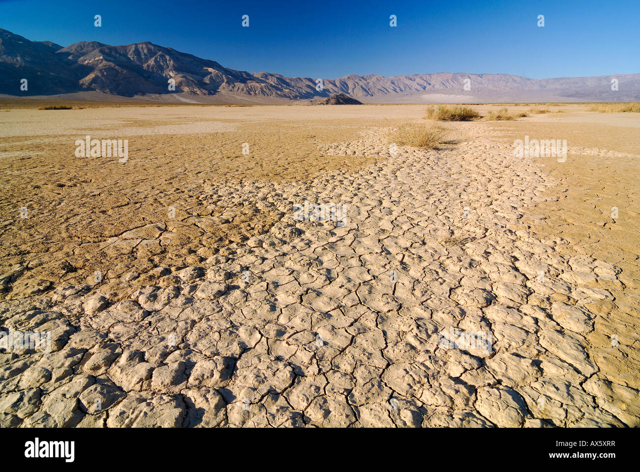 Desiccation cracks, arid loam soil at Stovepipe Wells in Death Valley National Park, California, USA, North America Stock Photo