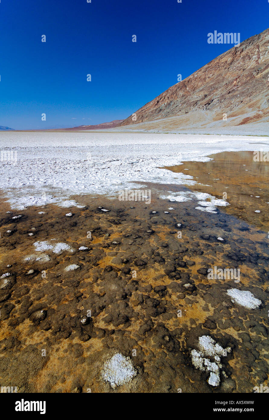 Badwater, lowest elevation in the USA (-87m), borax sediment in Death Valley, Death Valley National Park, California, USA, Nort Stock Photo