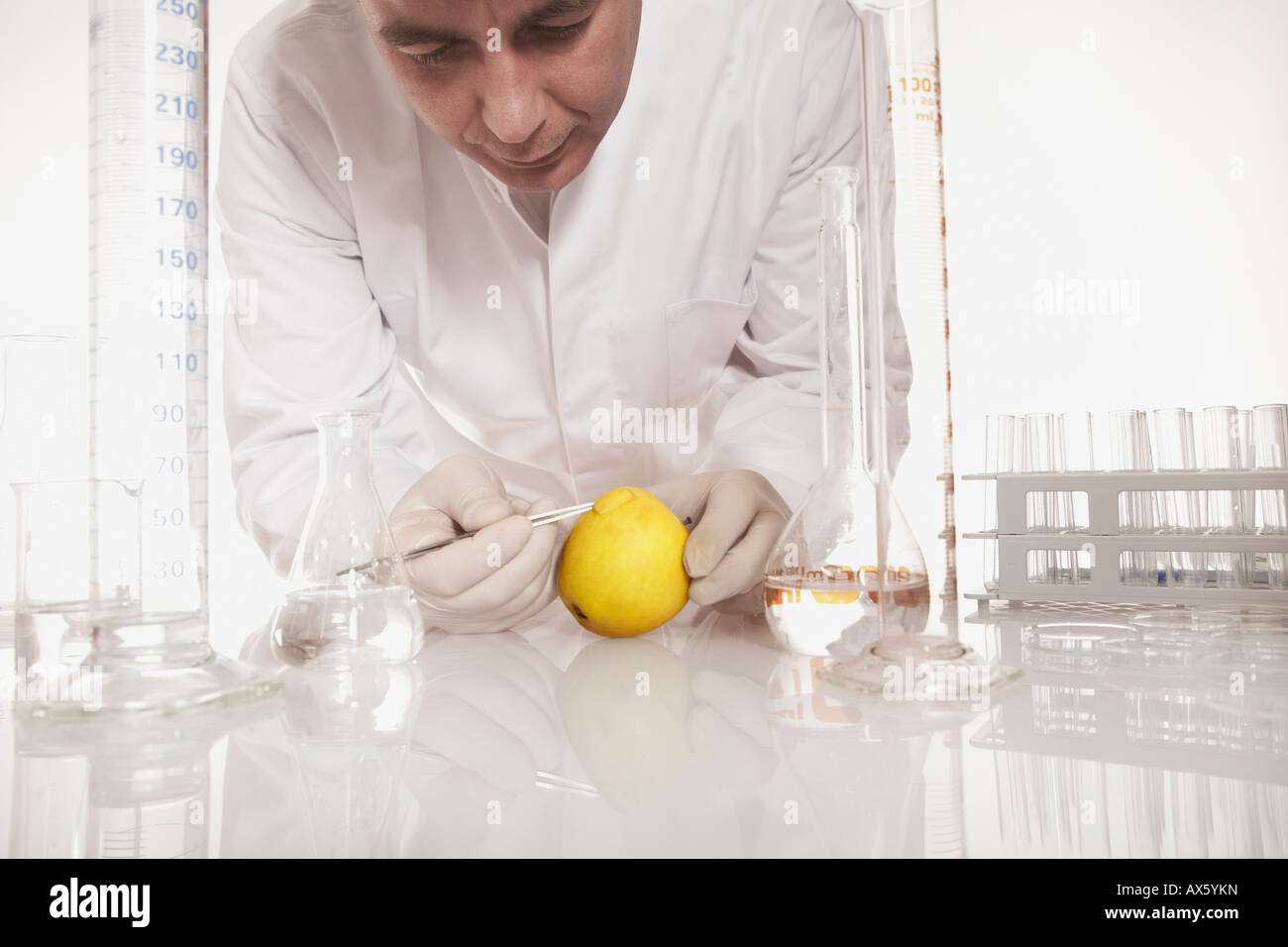 Chemist examining a genetically modified apple Stock Photo