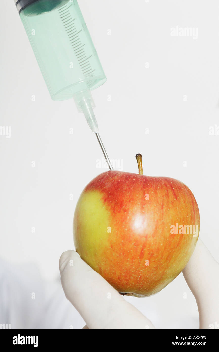 Chemist injecting substance into an apple Stock Photo