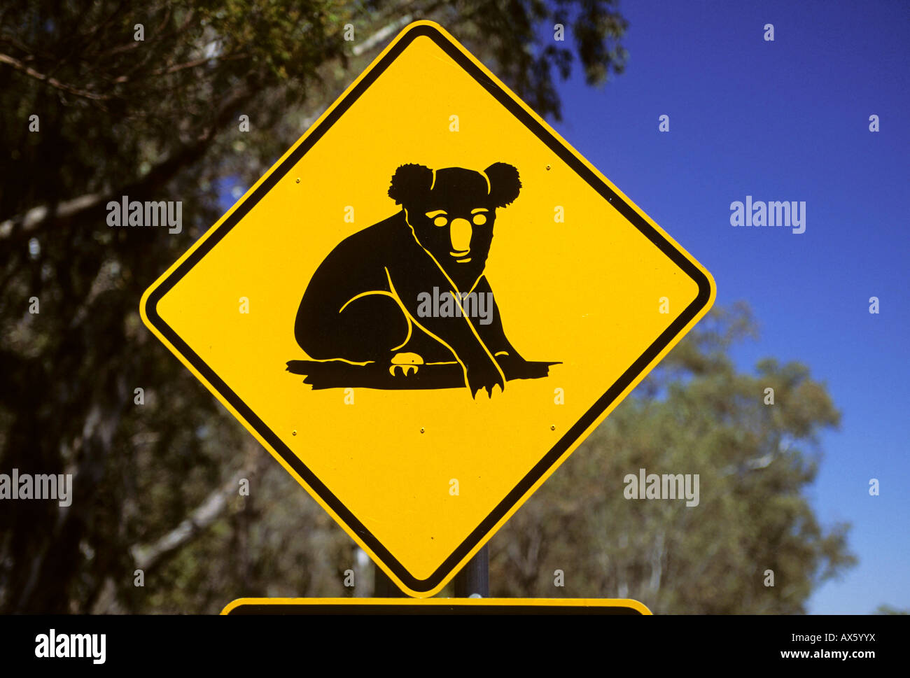 Koala crossing sign, Queensland, Australia Stock Photo