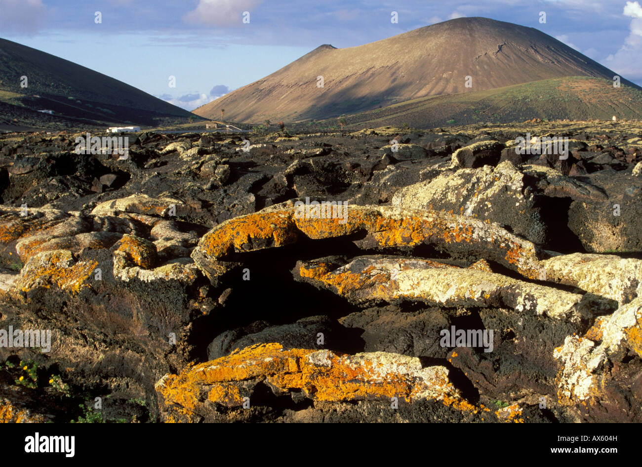 Lava field near Masdache, colourful lichens, Lanzarote, Canary Islands, Atlantic Ocean, Spain, Europe Stock Photo