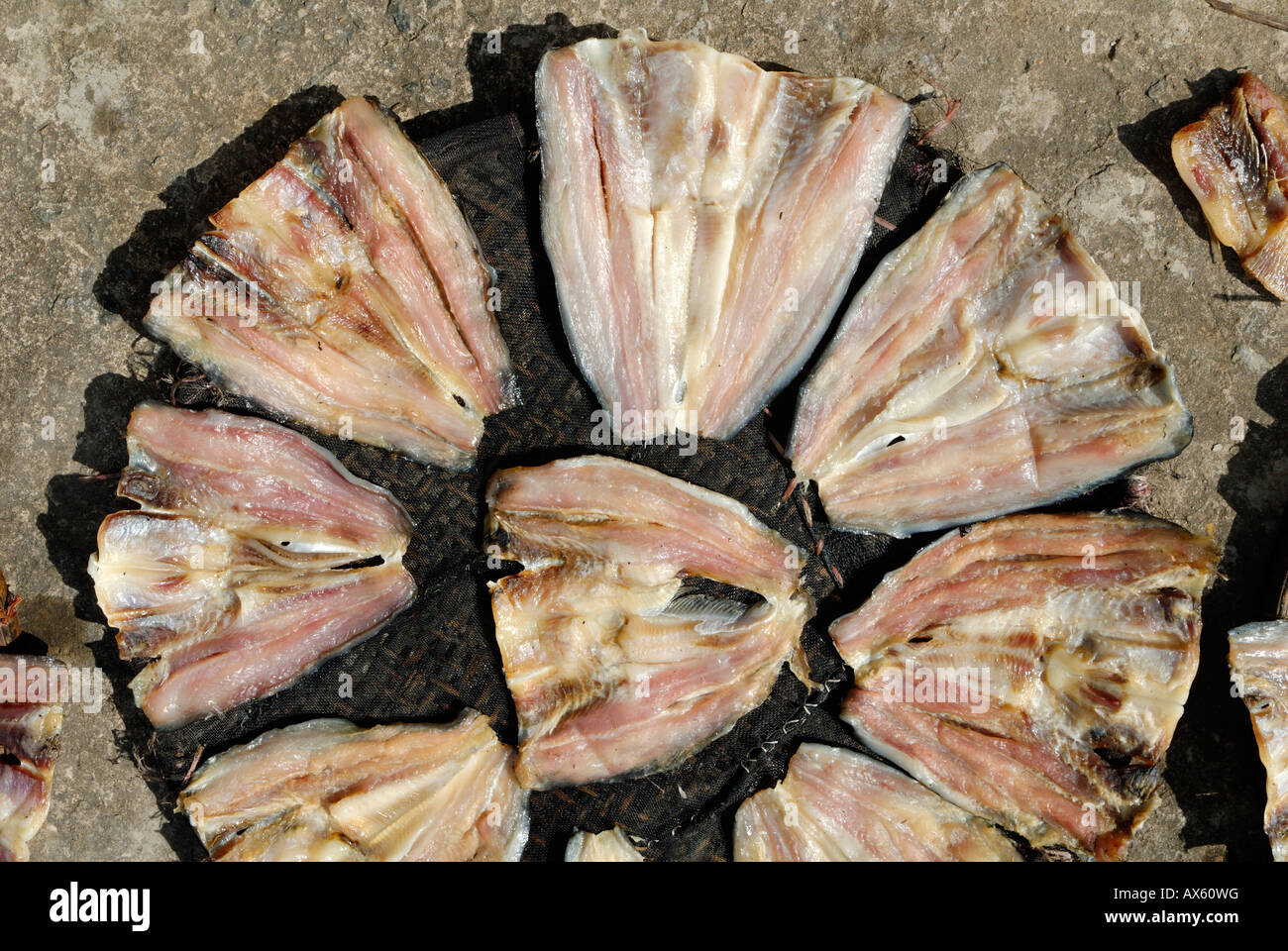 Fish from the mecong river dries in the sun, Vietnam Stock Photo