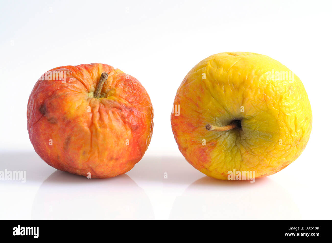 Dried old apples Stock Photo Alamy