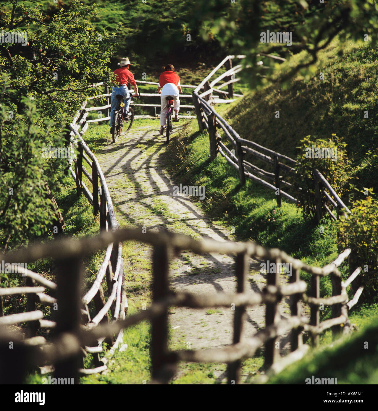Couple riding bicycle, rear view Stock Photo