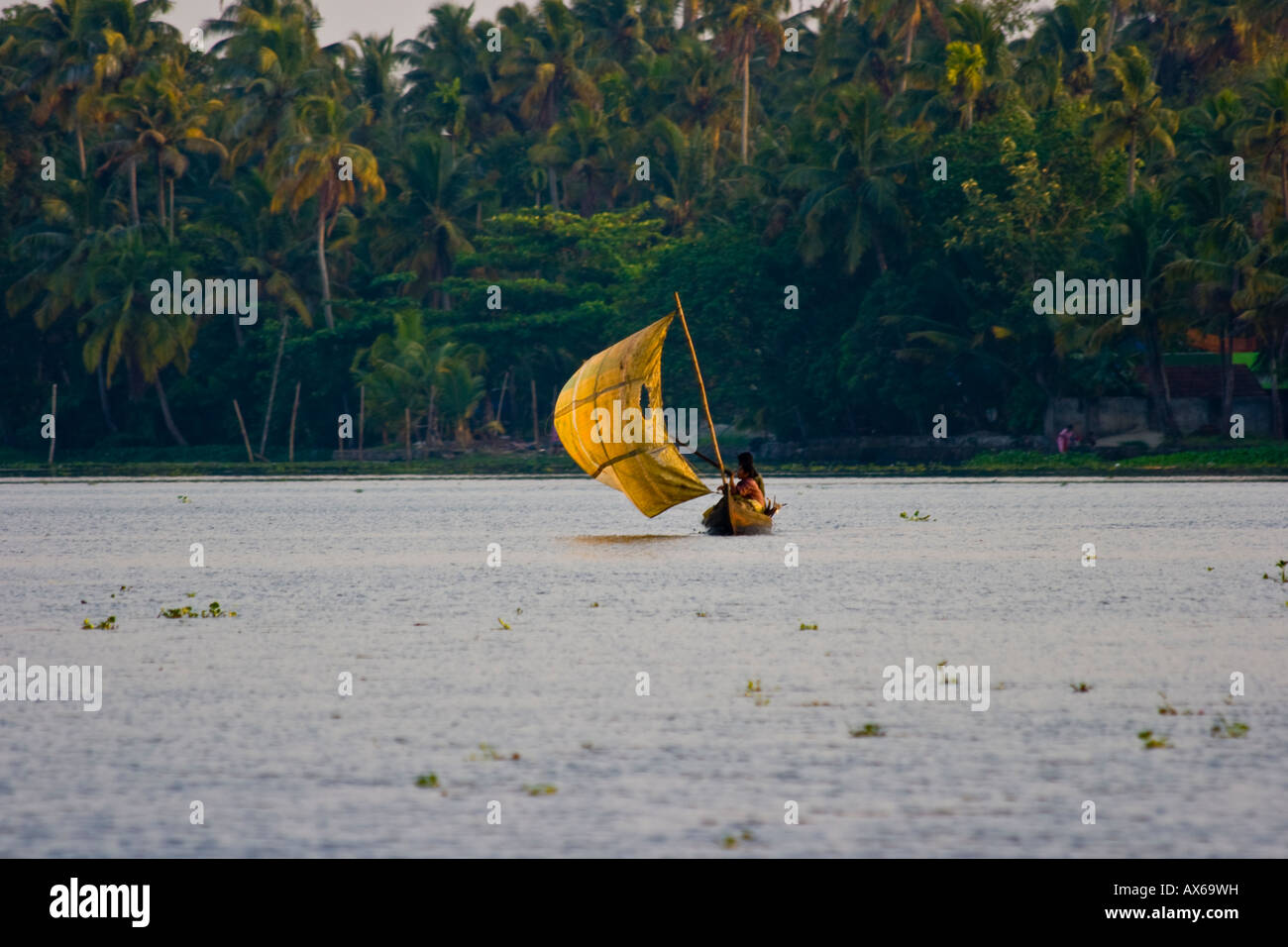 Small Sailboat in the Keralan Backwaters in India Stock Photo