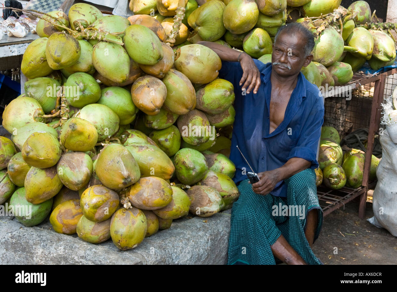 Indian Man and Coconuts in Mattancherry Cochin India Stock Photo