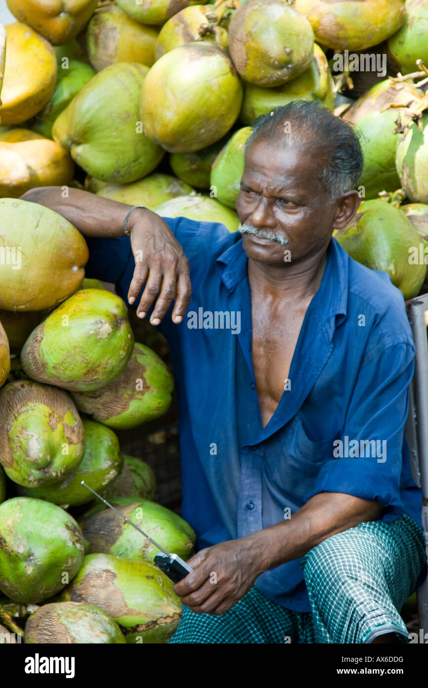 Indian Man and Coconuts in Mattancherry Cochin India Stock Photo