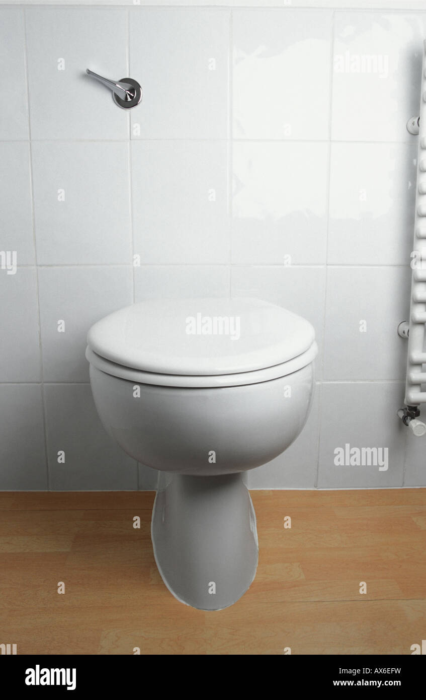 White Toilet Standing On Laminate Floor And Mounted Against Wall