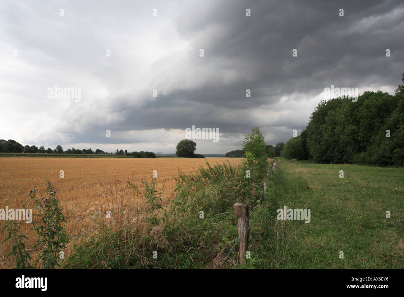 shelf cloud and cold front over field. boenen, northrhine westphalia germany, europe Stock Photo