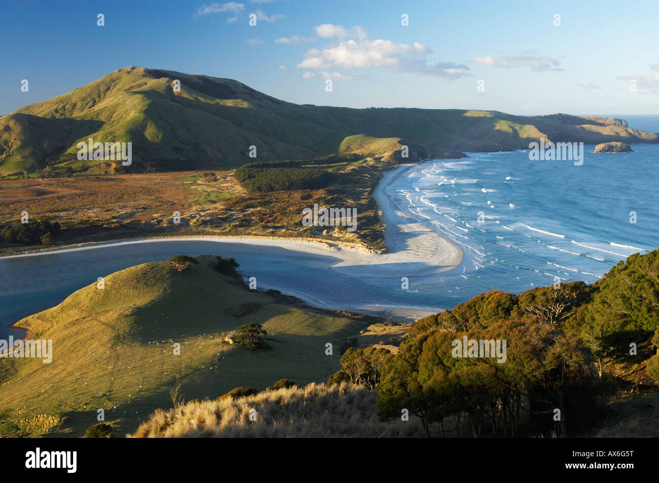 Hoopers Inlet Allans Beach and Mt Charles Otago Peninsula near Dunedin