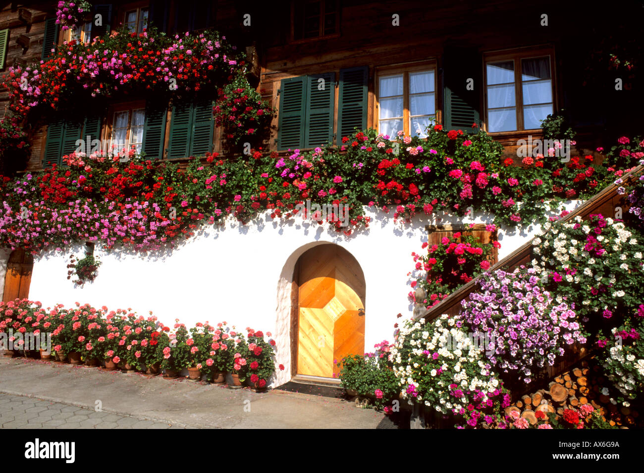 Switzerland Beautiful flowers and chalet in the famous resort area near